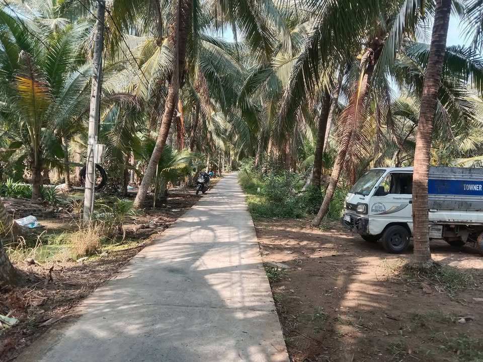 Đất Nền Châu Thành, Tiền Giang 255m² - Giá Tốt, Sẵn Sổ Hồng