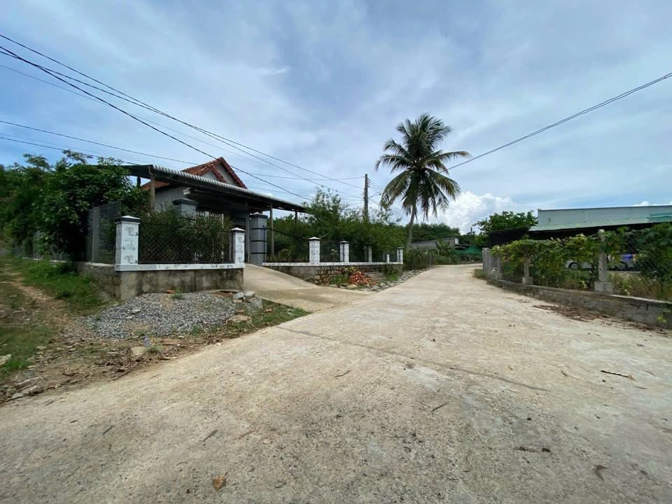 Lô đất Khánh Đông, Khánh Vĩnh 300m² giá 240 triệu - Giá tốt hiếm có!