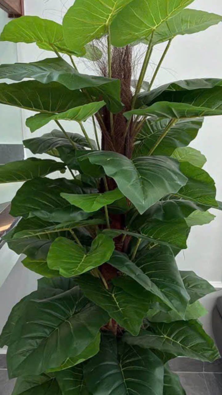 Nhà phố Văn Cao 45m² giá 3.68 tỷ - Mặt tiền kinh doanh cực đỉnh