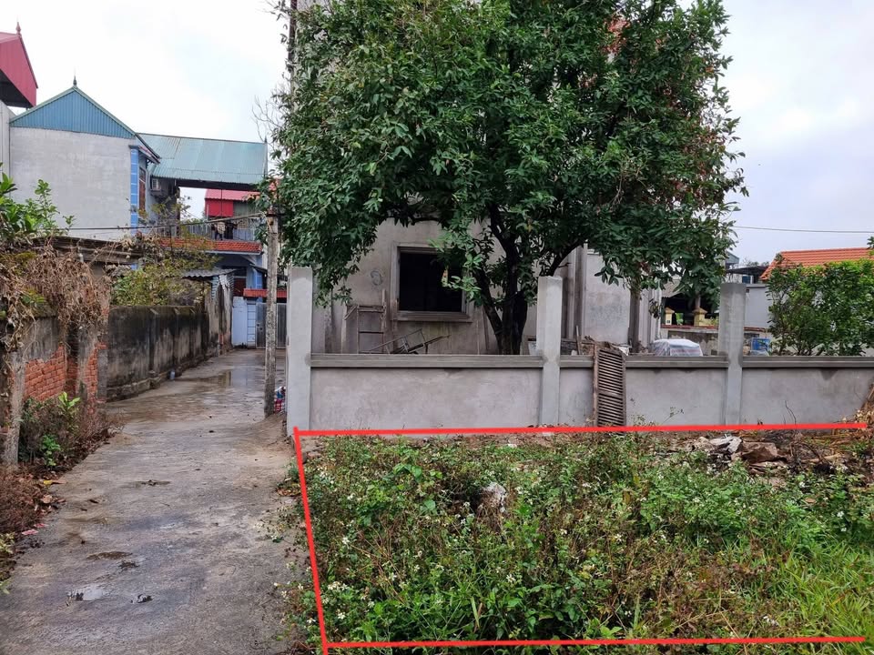 Đất nền Thiên Đông, Thanh Oai 50.6m² - Sổ đỏ chính chủ