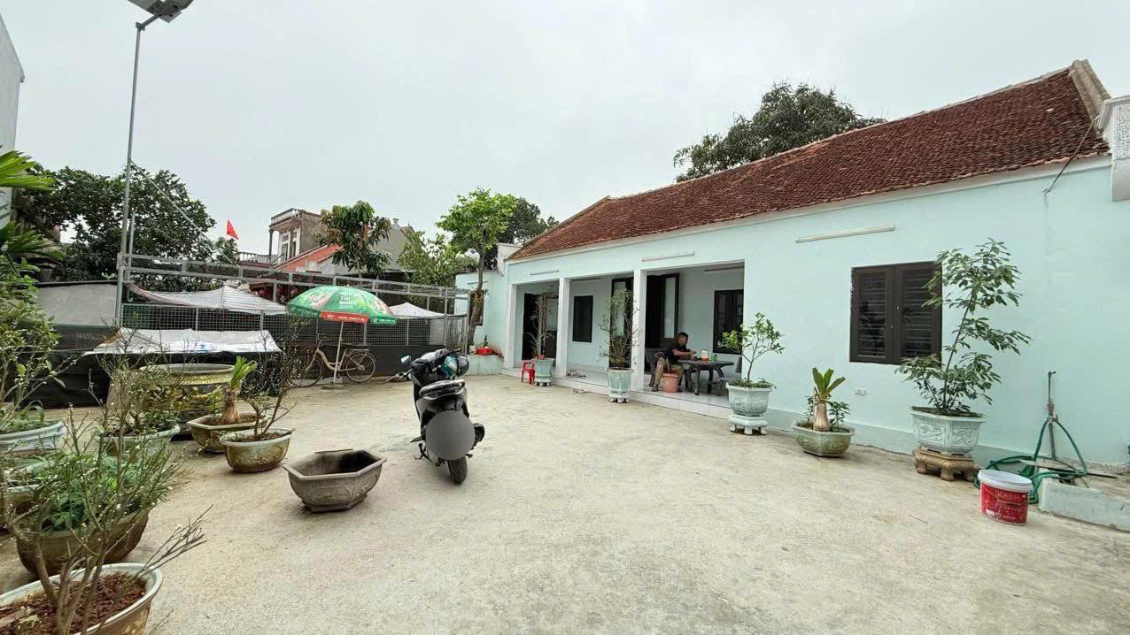 Nhà cấp 4 sân vườn Việt Yên 251m² - Sẵn sàng ở ngay!