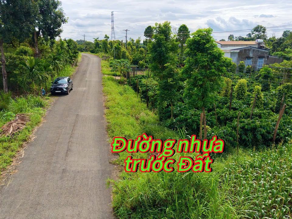 Đất nền Quảng Hiệp, Cư M'gar 504m² - Đường to ô tô