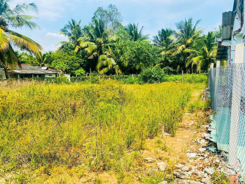 Đất nền Tân Long Hội, Mang Thít, Vĩnh Long 210 triệu - Sổ đỏ chính chủ!