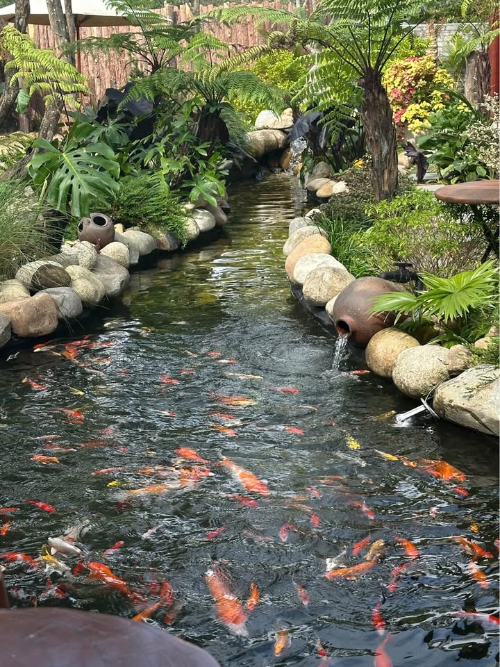 Đất nền Nghi Hòa 116m² giá 1.5 tỷ - Sổ đỏ sẵn, sát VinWonders