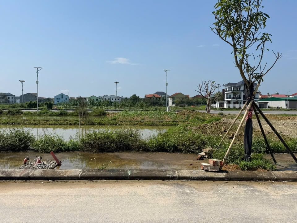 Đất Nền Đô Lương - 100m² Lối 2 QL7A, Đối Diện City Mart - Giá 2.4 Tỷ