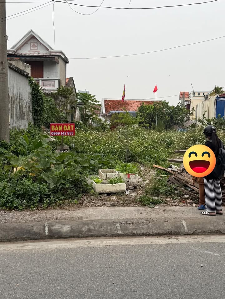 Đất Mặt Đường Lớn Cát Hải 350m² - Giá Tốt Đầu Tư