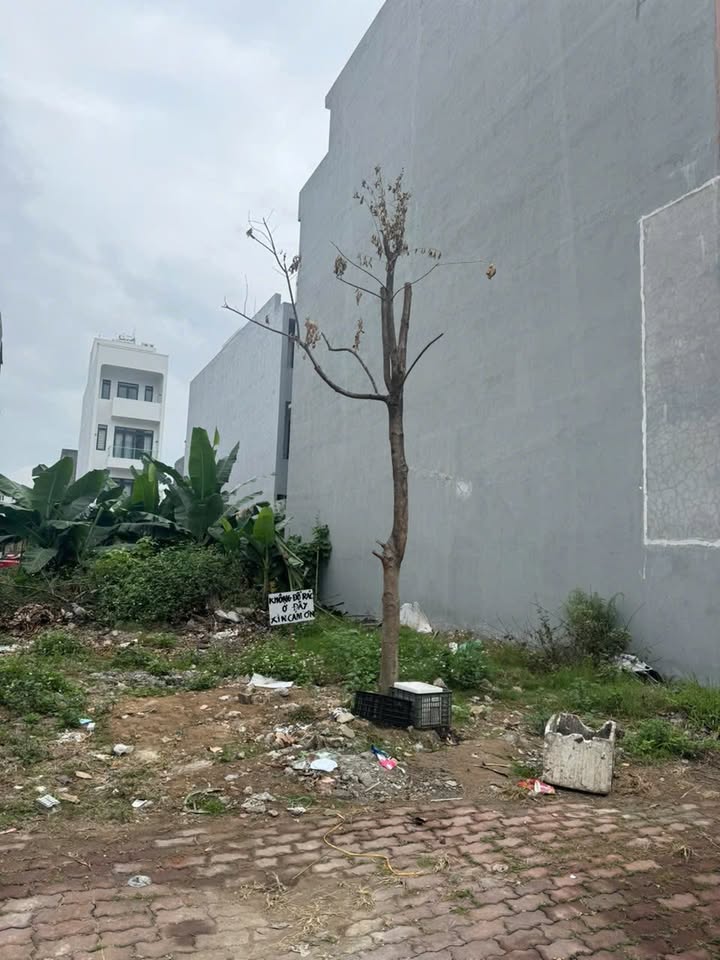 Đất nền TĐC Đằng Lâm 2, Hải An 90m² - Tiềm năng tăng giá vượt trội!