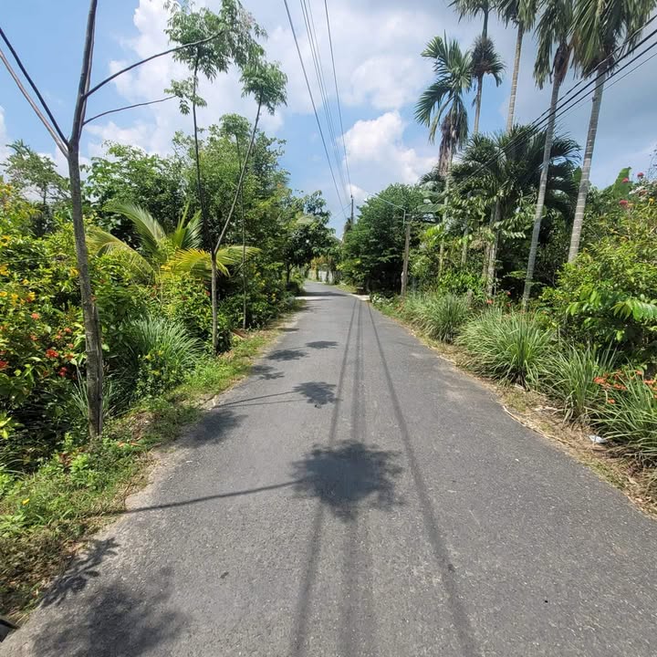 Đất Nền Châu Thành 806m² - Đường to ô tô, Sổ đỏ chính chủ!