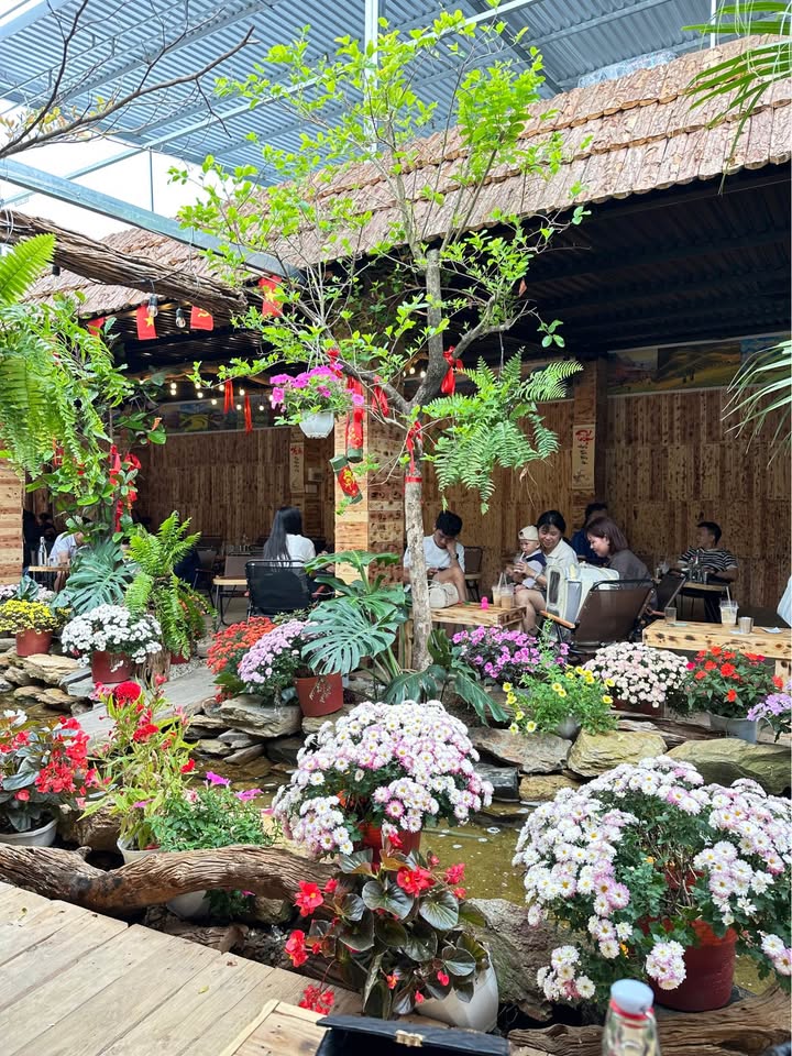 Đất nền Hòa Xuân 165m² giá 13.5 tỷ - Sổ đỏ chính chủ