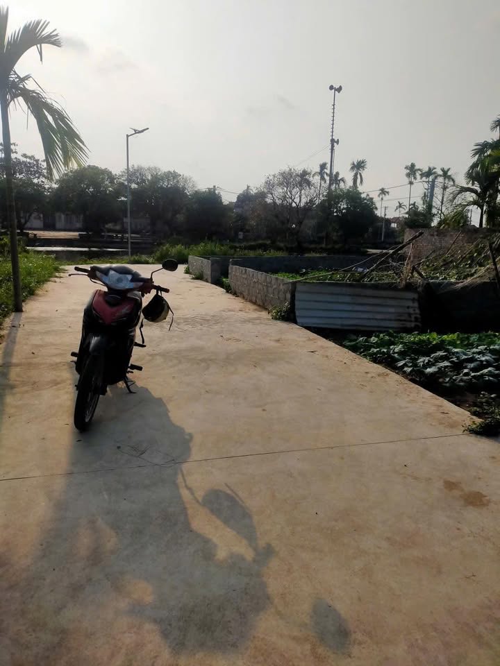 Đất nền Thụy Phú, Phú Xuyên 85m² - Tiềm năng tăng giá vượt trội!