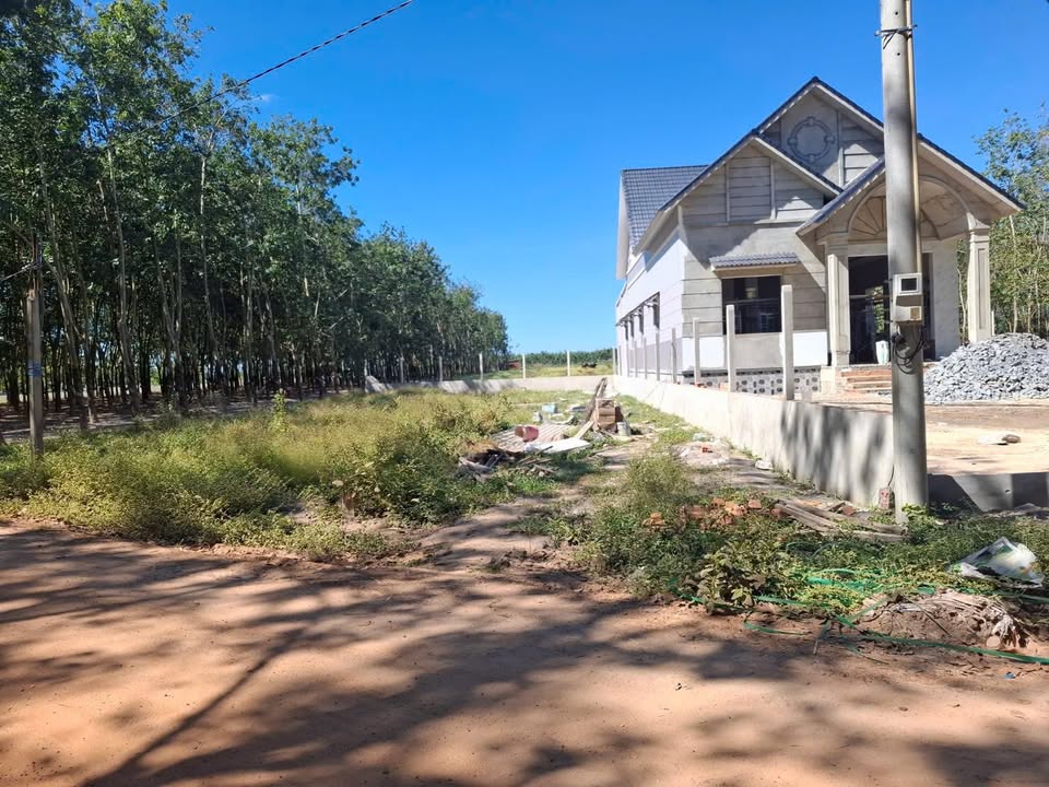 Đất 155m² Sổ Đỏ Đường Đỏ, Tân Châu, Tây Ninh - Giá 290 Triệu