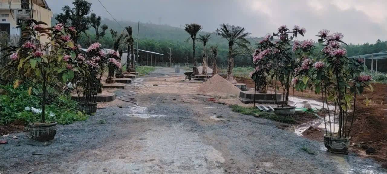 Đất Vàng Phú Yên 6000m² - Sổ ONT - Gần Thiền Viện Trúc Lâm - Giá 6.3 Tỷ