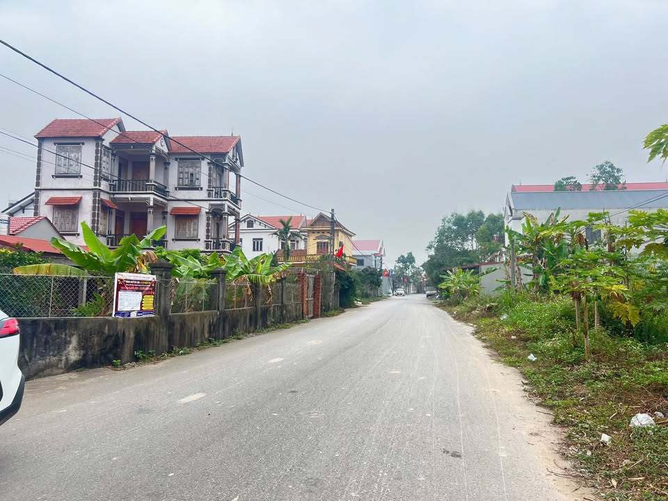 Đất đấu giá 120m² Hiệp Hòa, Bắc Giang - Cơ hội kinh doanh sinh lời