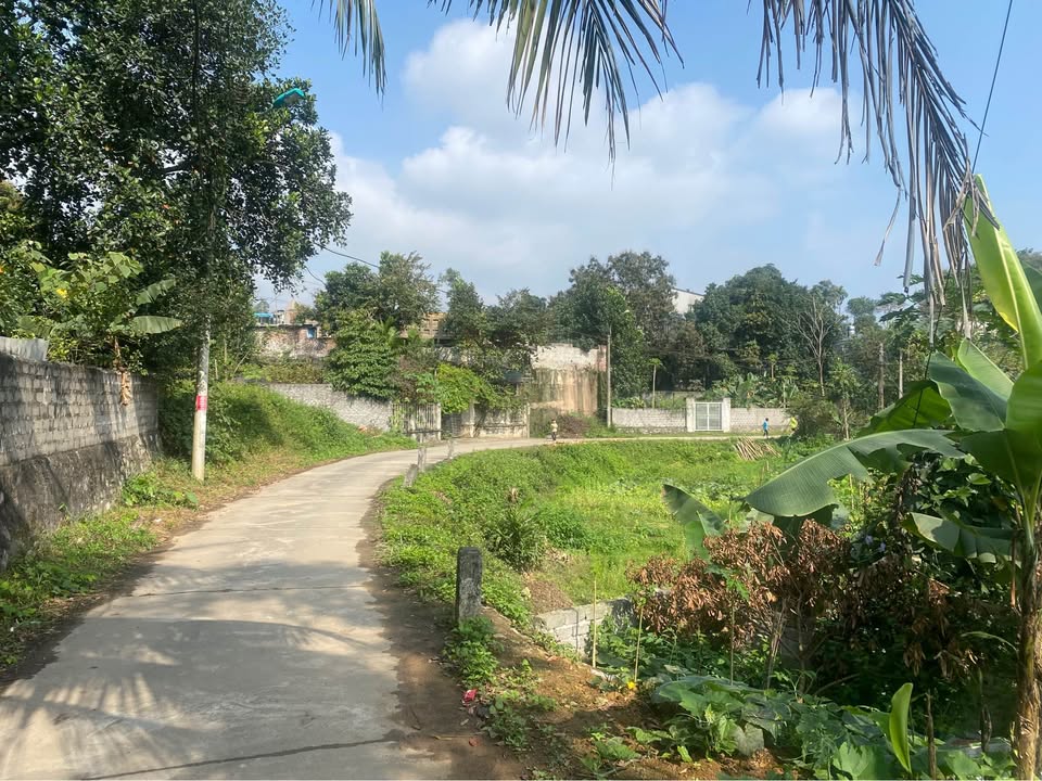 Đất nền 120m² Phường Tân Hòa, TP Hòa Bình - Sổ đỏ sẵn sàng, ô tô vào tận nơi