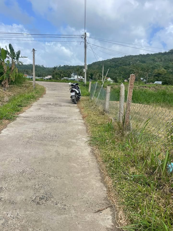 Đất Thổ Cư 200m² Tuy An, Phú Yên - Gần Chợ Đầm & Biển Đá Đĩa