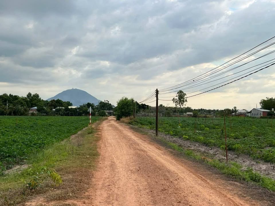 Đất nền Tân Phú, Tây Ninh 1050m² - Sổ hồng chính chủ!