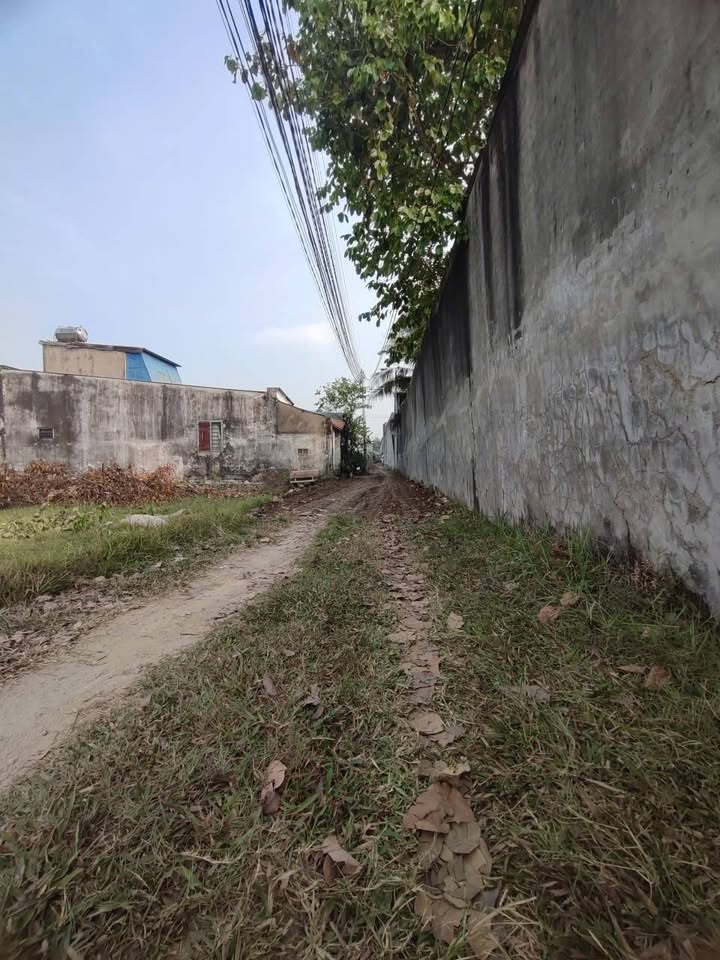 Bán 5 Lô Đất Thổ Cư 60m² Mỹ Hạnh Bắc, Đức Hòa - Sổ Hồng Sẵn Sàng