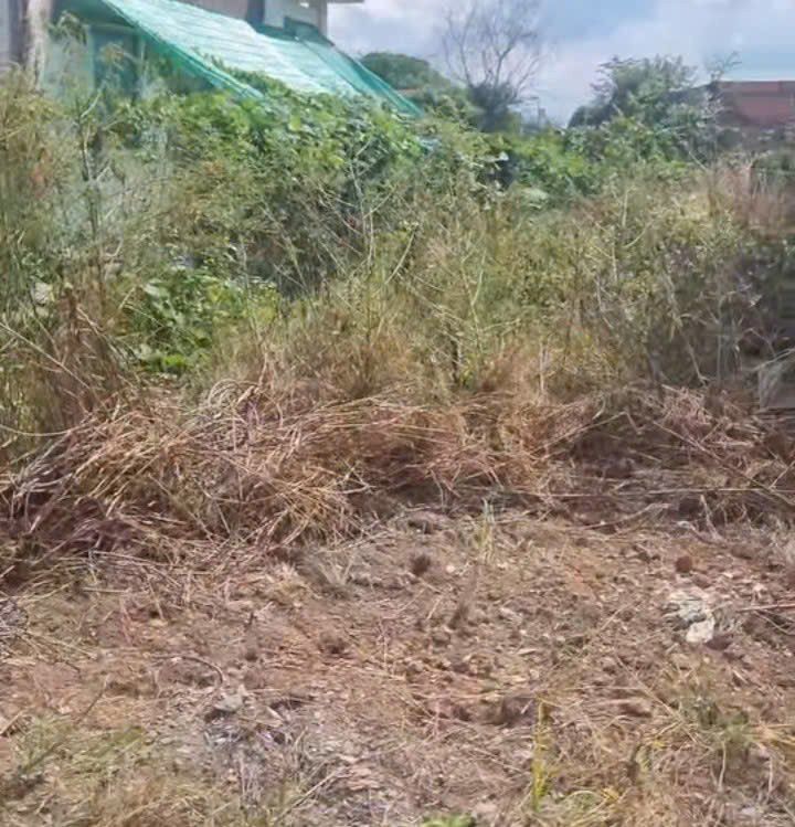 Đất nền Thạnh Hóa 108m² giá 300 triệu - Sổ hồng sẵn đầu tư ngay!