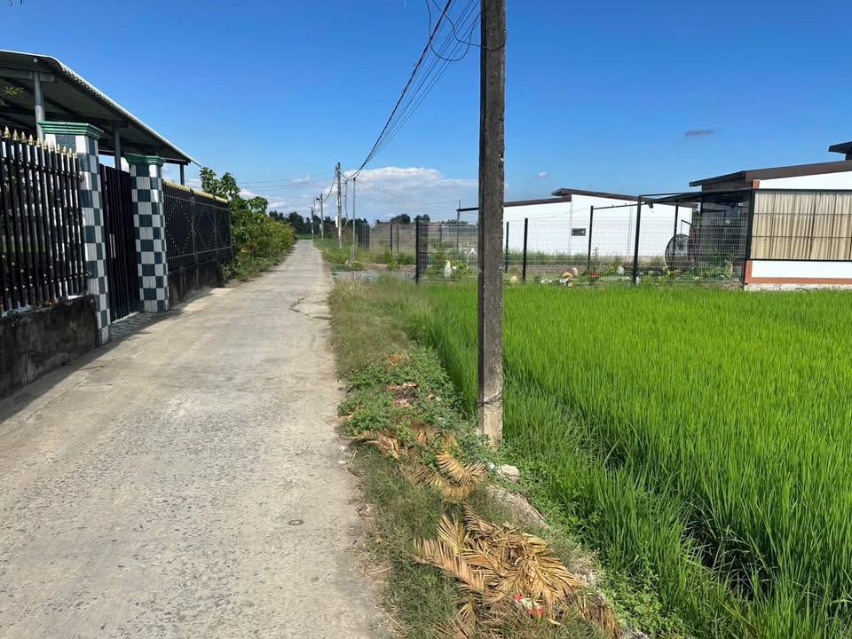 Đất nền Tân Trụ Long An 140m² giá 520 triệu - Sổ đỏ chính chủ