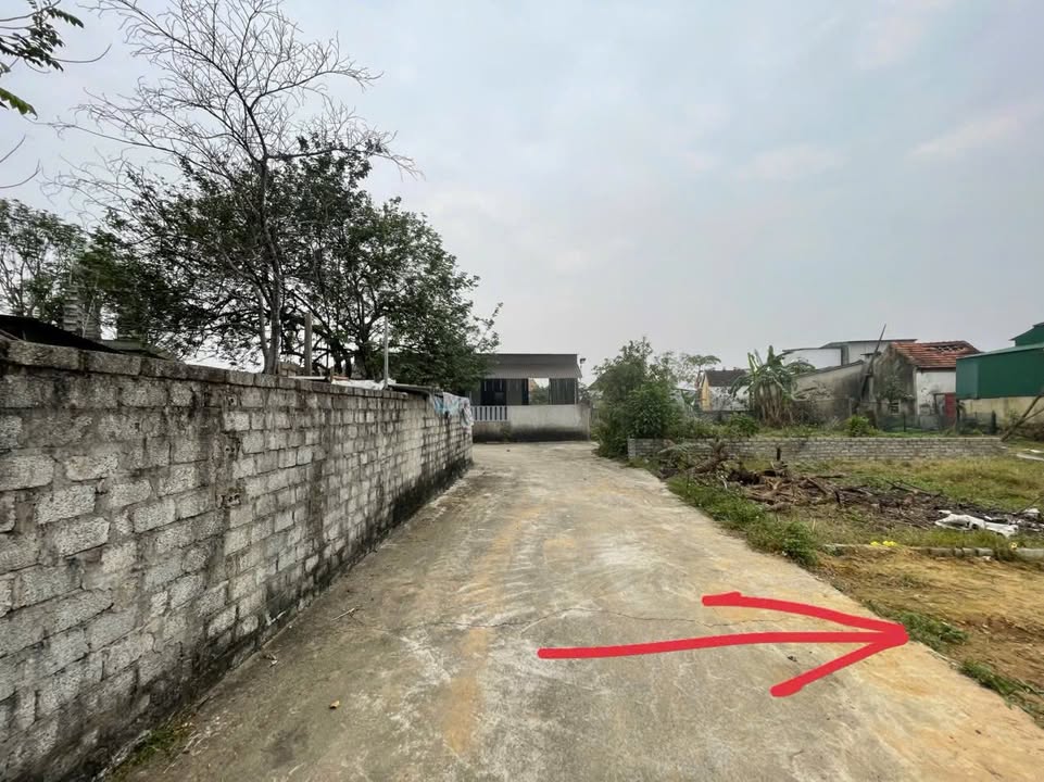 Đất nền Nghi Thái 80m² giá 1.5 tỷ - Sổ đỏ sẵn, ô tô vào tận đất