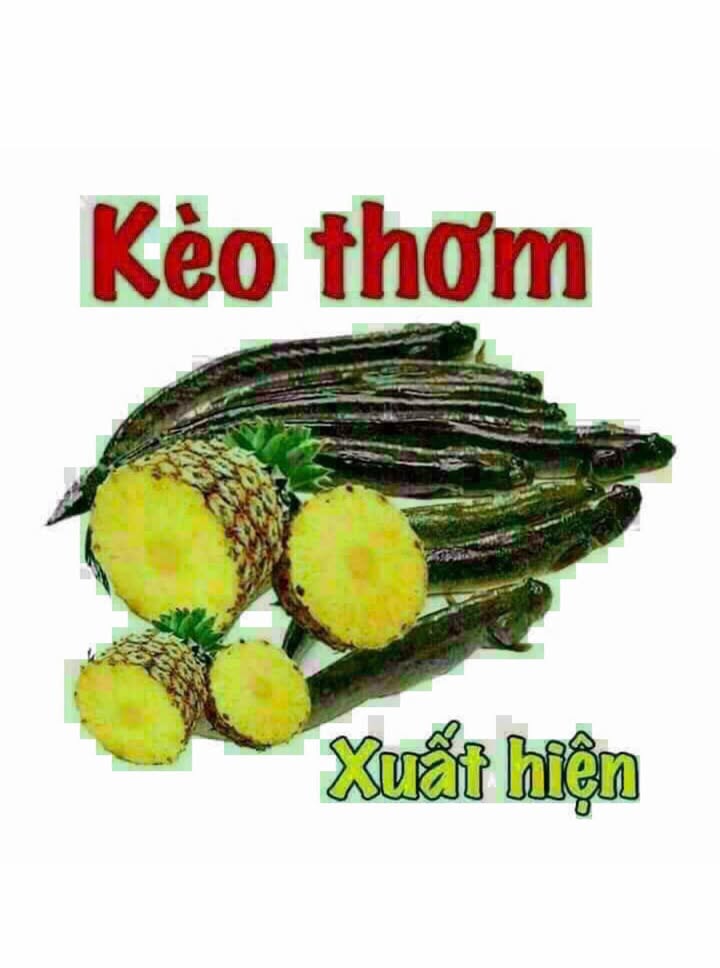 Đất vườn Long Phước, Long Hồ 6380m² - Đầu tư dài hạn!