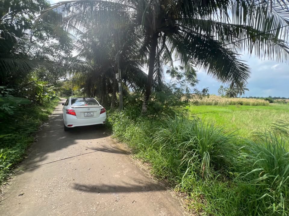 Đất Mặt Tiền Nam Sông Hậu 2210m² - Tặng 9m Ngang, Giá 2.3 Tỷ