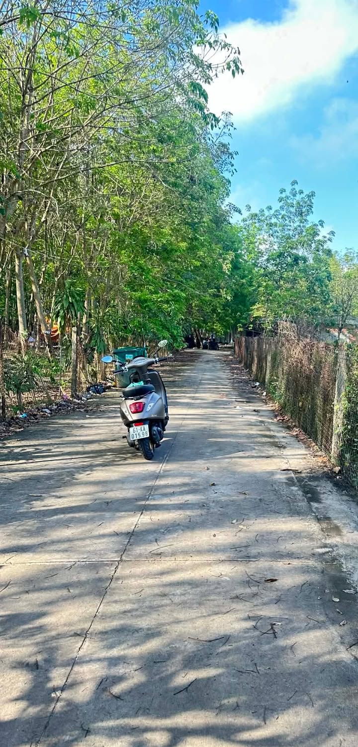 Đất nền Đường 21 Hưng Hòa 302m² 2 tỷ - Sổ đỏ chính chủ!