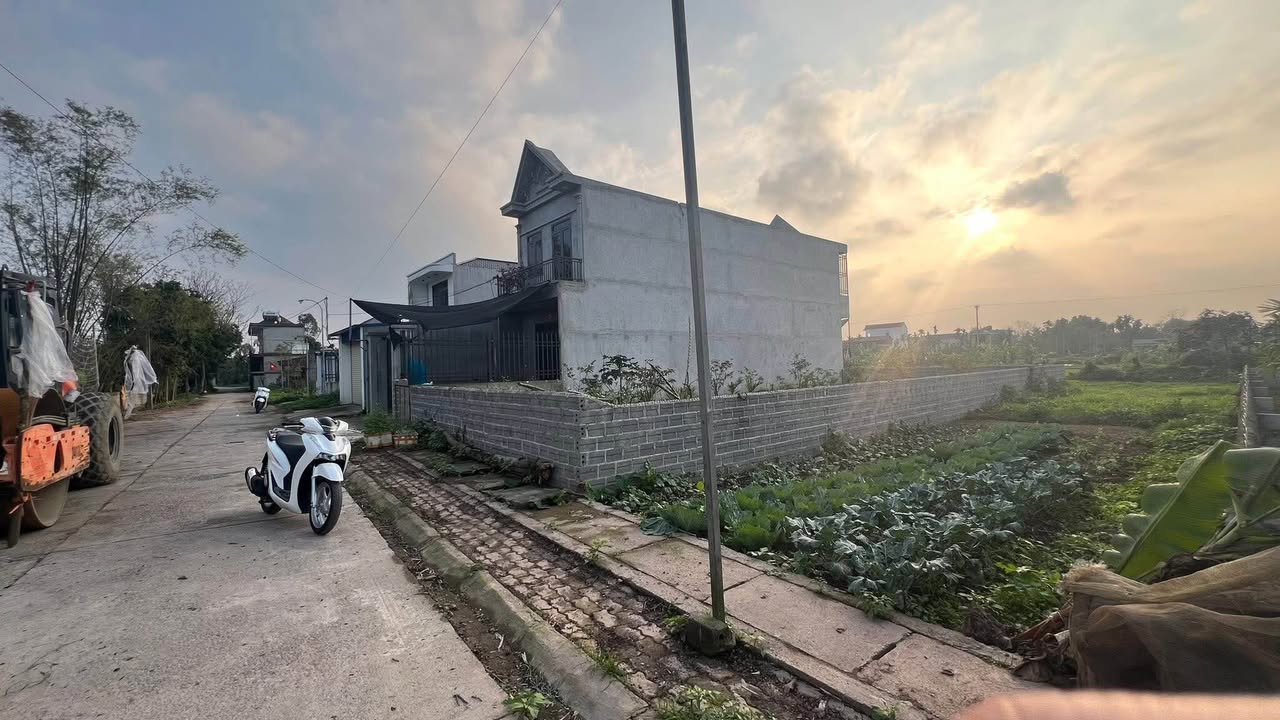 Bán đất nền Văn Lý, Lý Nhân 115m² giá 1 tỷ - Sổ đỏ chính chủ