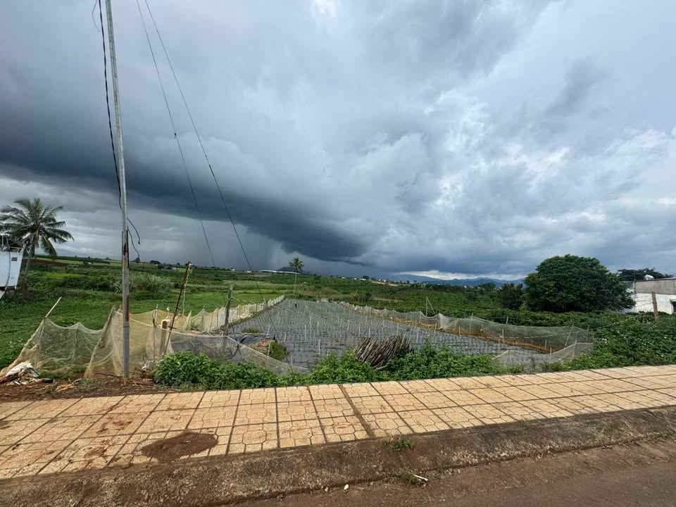 Đất nền TL724 Tân Hội 2130m² giá 7,029 tỷ - Sổ hồng chính chủ