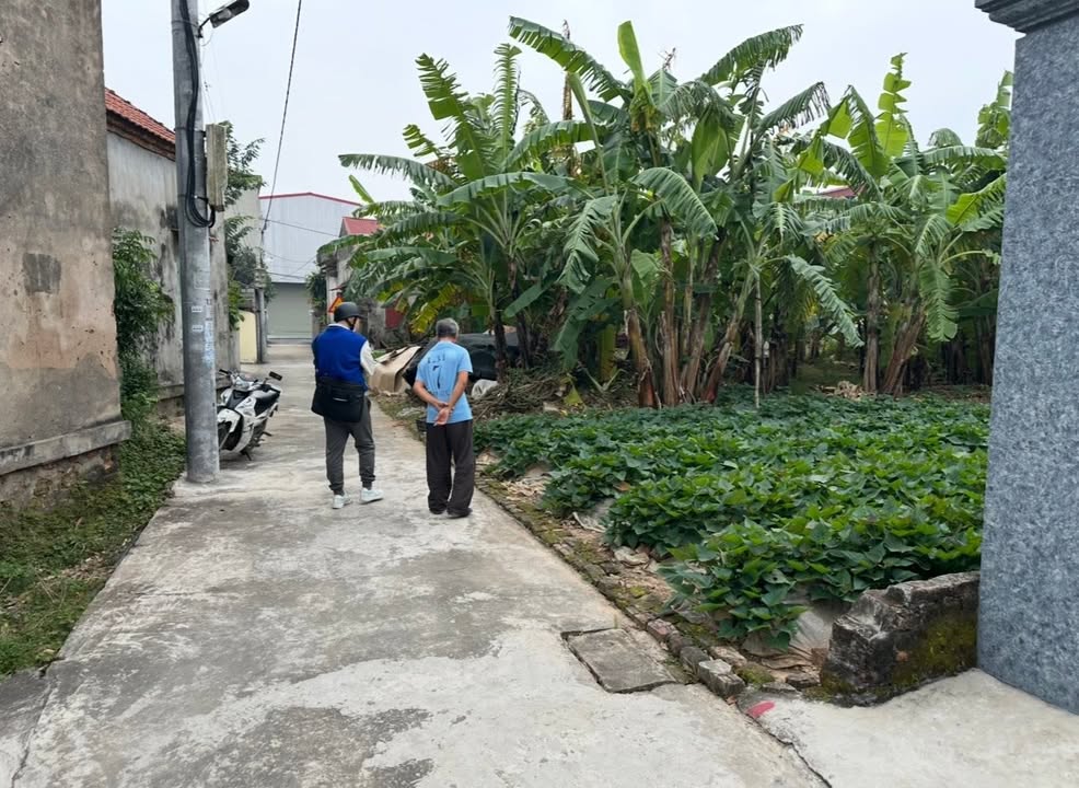 Đất nền Bình Giang, Hải Dương từ 63m² - Tiềm năng tăng giá vượt trội!