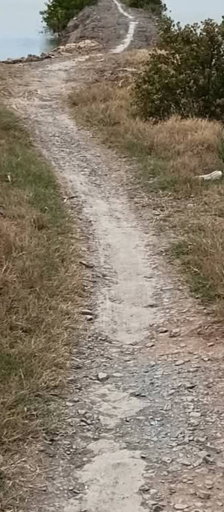 Đất nuôi trồng thủy sản Duyên Hải 9000m² - Tiềm năng tăng giá vượt trội!