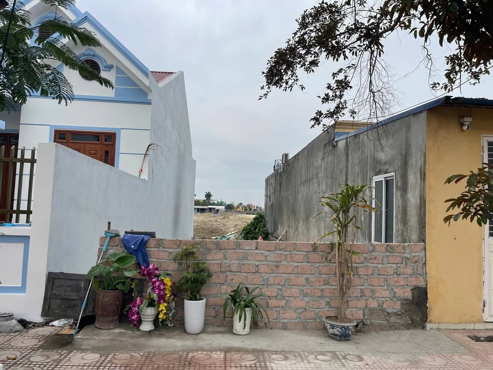 Đất nền Himlam Thường Tín 110m² - Tiềm năng tăng giá vượt trội!