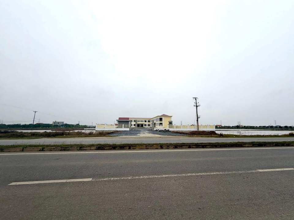 Đất nền Vành đai Kim Chính 115m² - Tiềm năng tăng giá