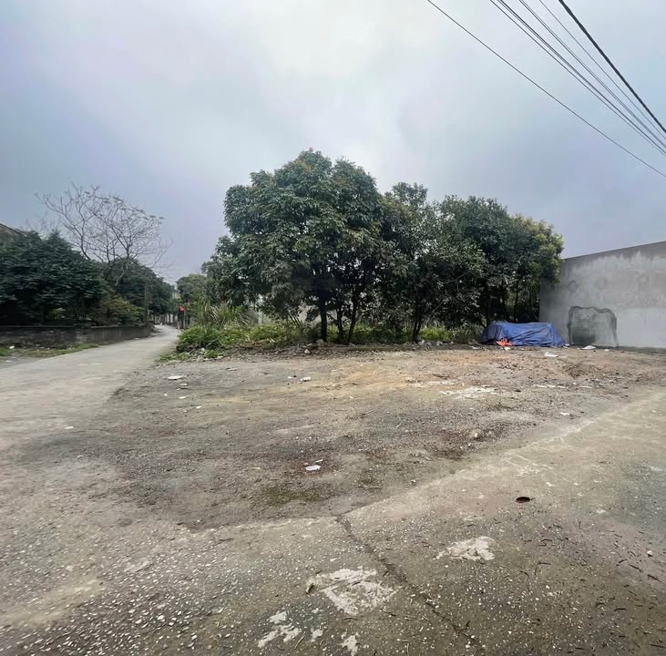 Đất nền Kim Bảng 81m² giá 700 triệu - Sổ đỏ chính chủ, xây tự do!