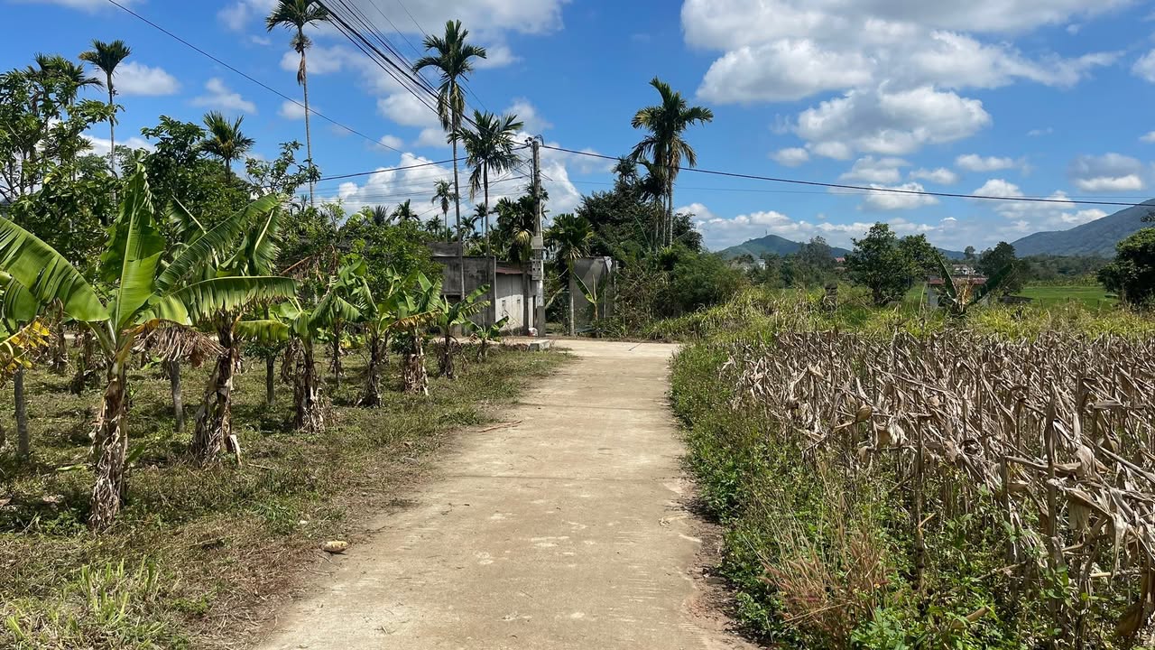 Đất nền Hòa Sơn Krông Bông 432m² giá 592 triệu - Sổ đỏ chính chủ
