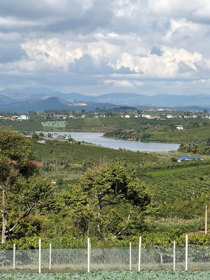 Đất nền Phúc Thọ Bảo Lộc 360m² - Đường to ô tô tận nơi!