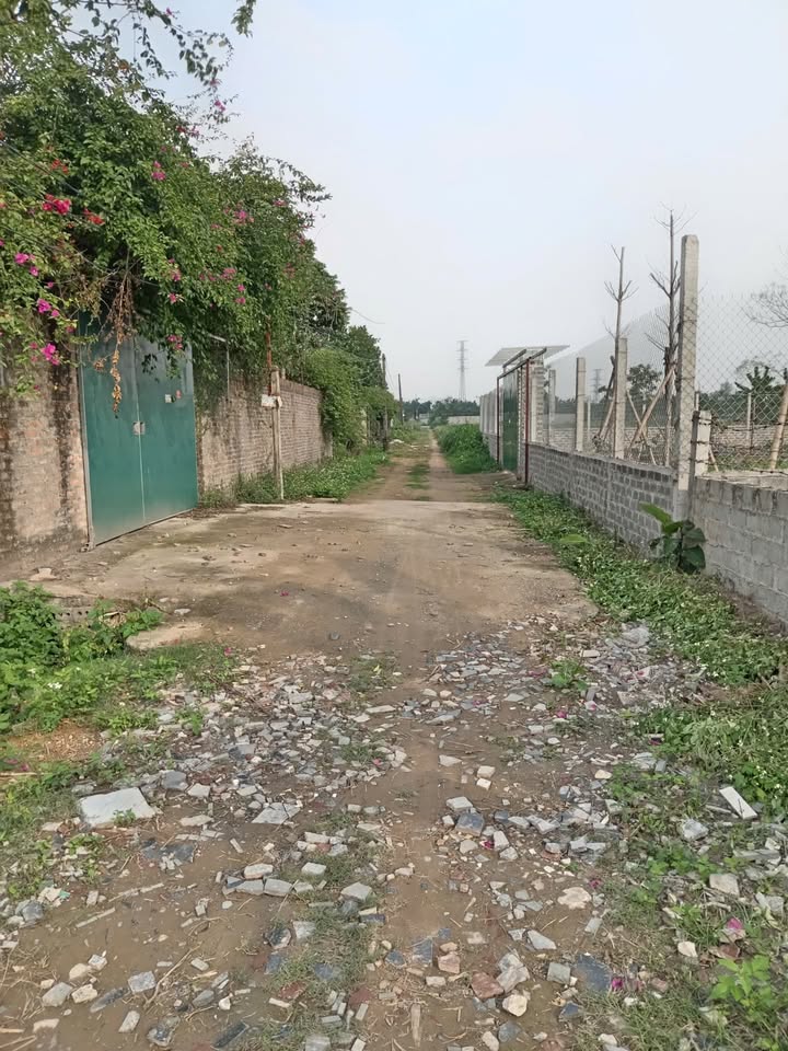 Đất Lô Góc 620m² Sổ Hồng Sẵn Gần TT Hội Nghị Quốc Gia - Chỉ 2.9 Tỷ