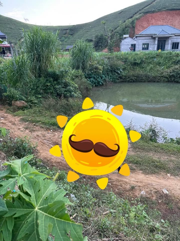 Đất nghỉ dưỡng Long Cốc 601m² giá 5 tỷ - View đồi chè cực phẩm!