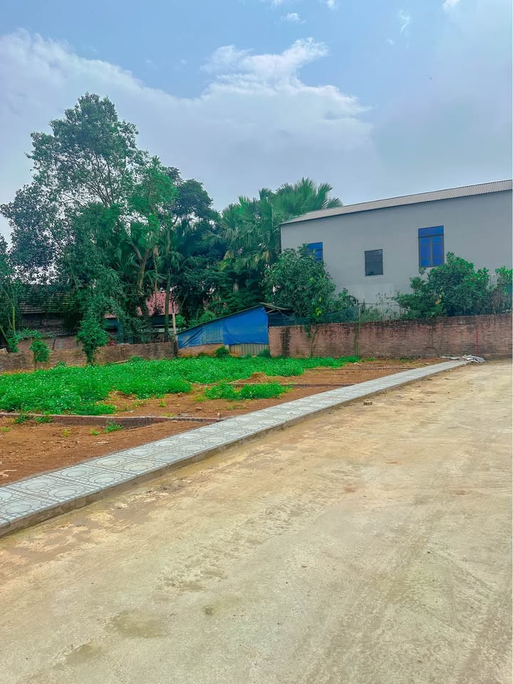 Đất nền Việt Trì 111m² giá hơn 1 tỷ - Tiềm năng tăng giá cao!