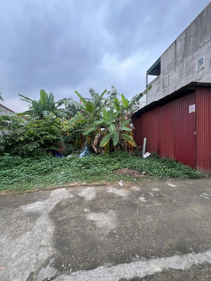 Đất nền Nguyệt Cư, Việt Trì 85m² - Sổ đỏ chính chủ, kinh doanh tốt!