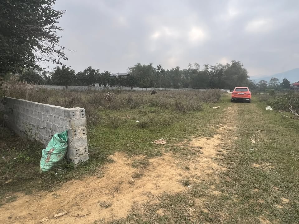 Đất nền Sào Báy, Kim Bôi 2000m² - View đồng, sông Bôi, sổ đỏ sẵn sàng!