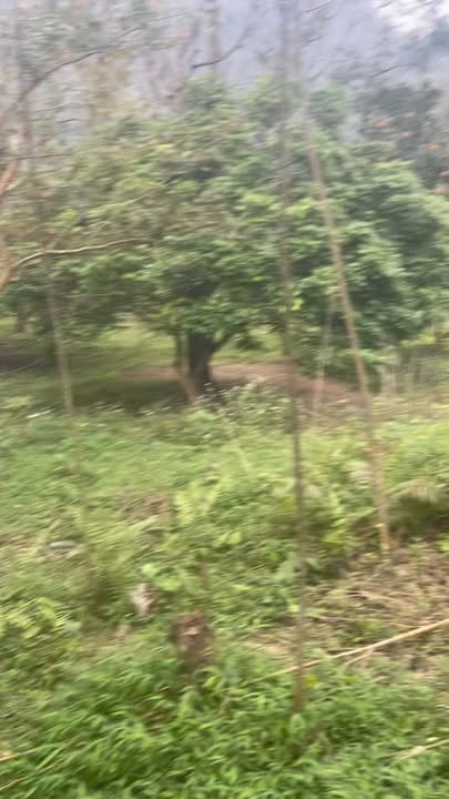 Đất nền Kim Bôi, Hòa Bình 1000m² - Sổ đỏ chính chủ, view núi đá!