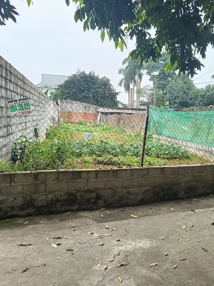 Đất Đồng Trạng Mai Châu 136m² - Tiềm năng tăng giá vượt trội!