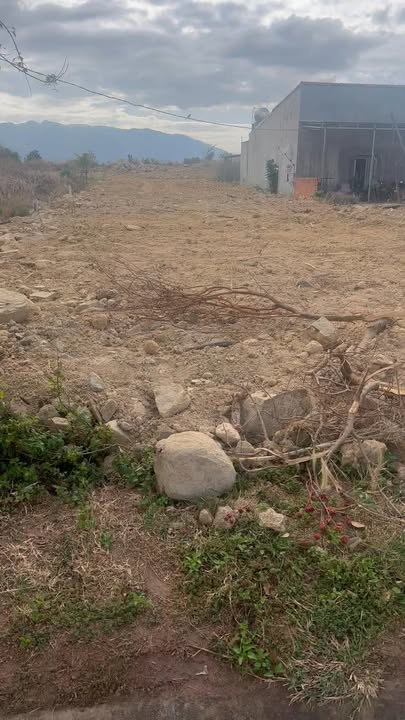 Đất Mặt Tiền Quốc Lộ 14, Krông Buk, Đắk Lắk - 900m² Kinh Doanh/Xưởng/Ở