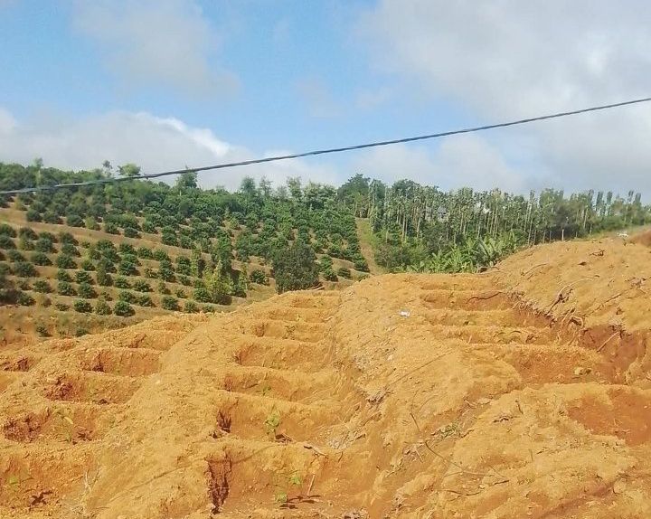 Đất nông nghiệp 2160m² Đắk Sôr, Krông Nô - Giá 400 triệu, sẵn sàng kinh tế