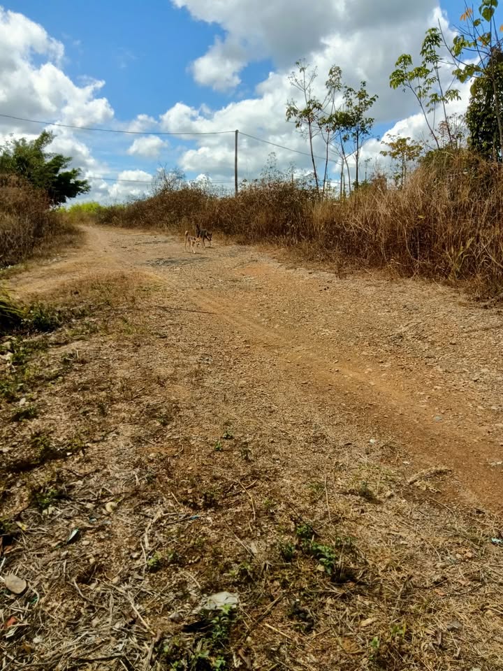 Đất nền Thôn 9 Đắk Wil, Cư Jút 697m² - Sổ đỏ chính chủ!