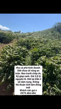 Đất Vườn Đắk Nông 4ha - Sổ Đỏ Tương Lai, Giá Đầu Tư 3.8 Tỷ