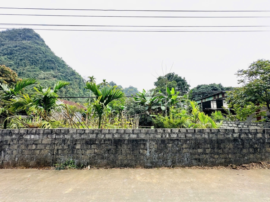 Đất vườn Lương Sơn Hòa Bình 1000m² giá 4 tỷ - Nghỉ dưỡng lý tưởng!