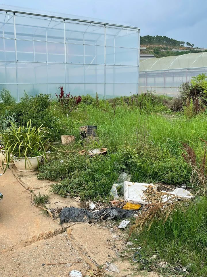 Bán Đất Đà Lạt 72m² Sổ Đỏ Đường Ô Tô Tận Nơi