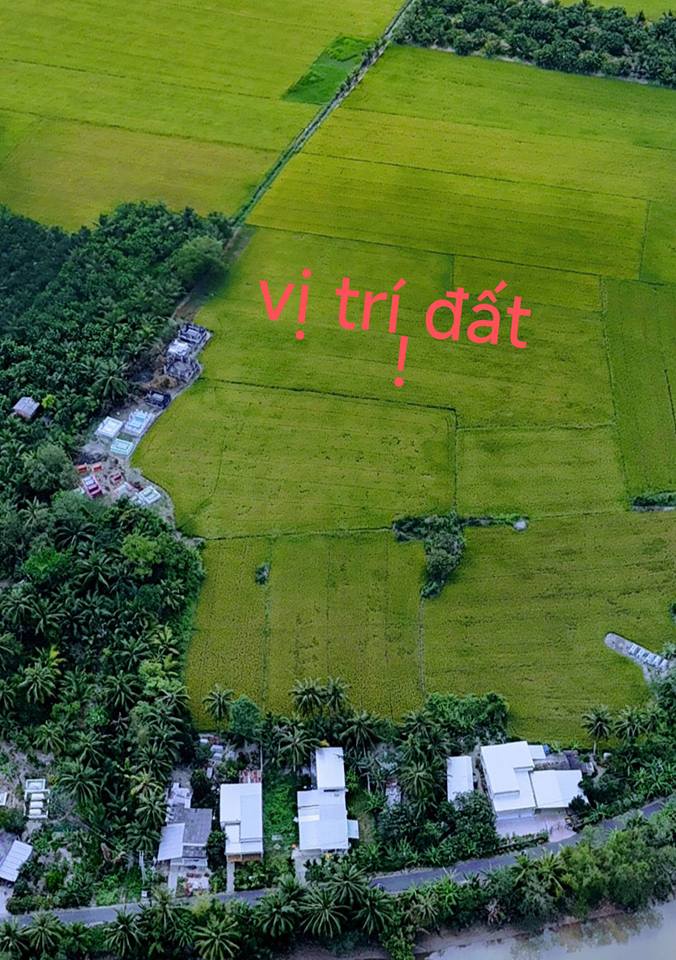 Đất ruộng Xã Bình Phước, Mang Thít 5.660m² - Đầu tư dài hạn!